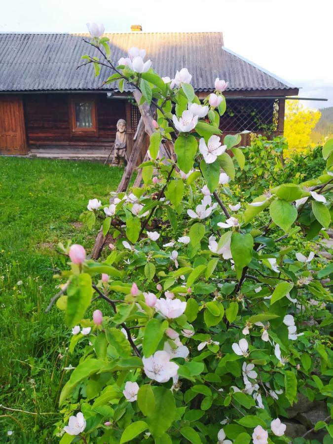 Starovitska Hata - Ethno-Cottage Верховина Экстерьер фото
