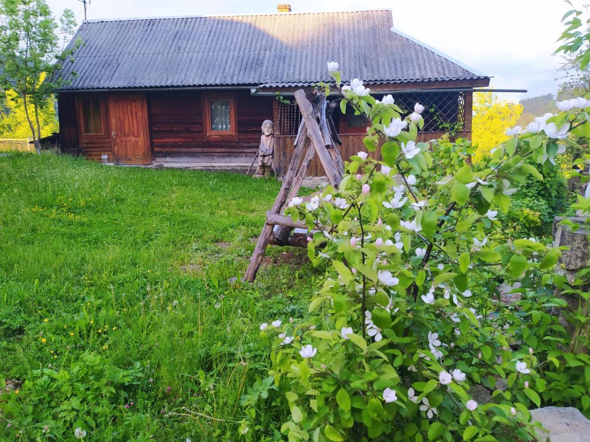 Starovitska Hata - Ethno-Cottage Верховина Экстерьер фото