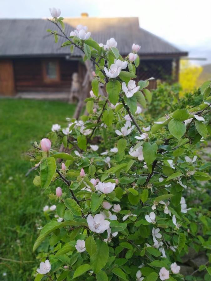 Starovitska Hata - Ethno-Cottage Верховина Экстерьер фото