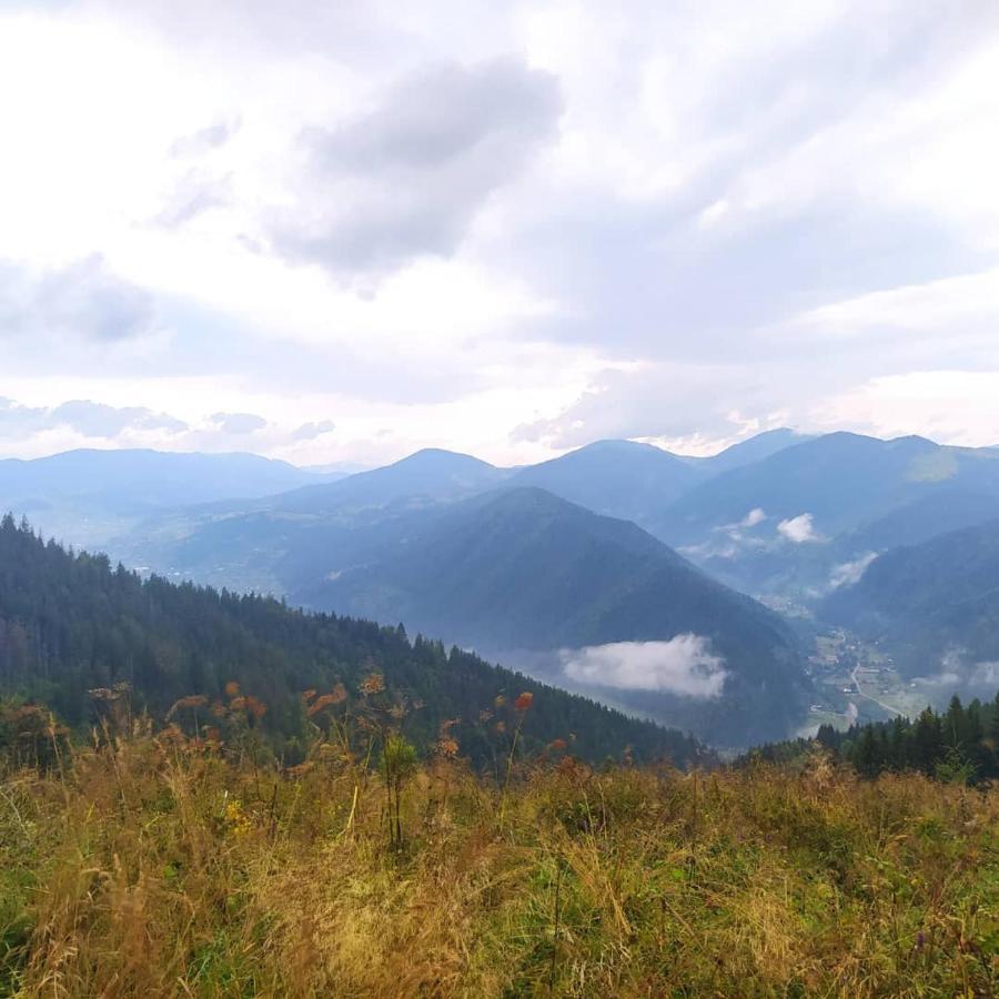 Starovitska Hata - Ethno-Cottage Верховина Экстерьер фото