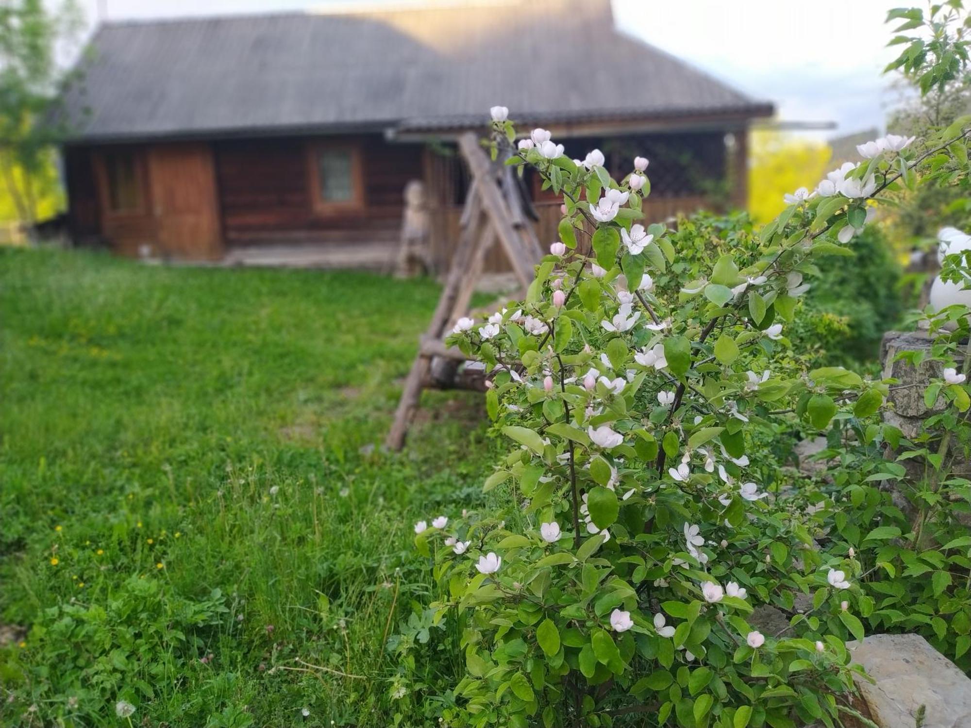 Starovitska Hata - Ethno-Cottage Верховина Экстерьер фото