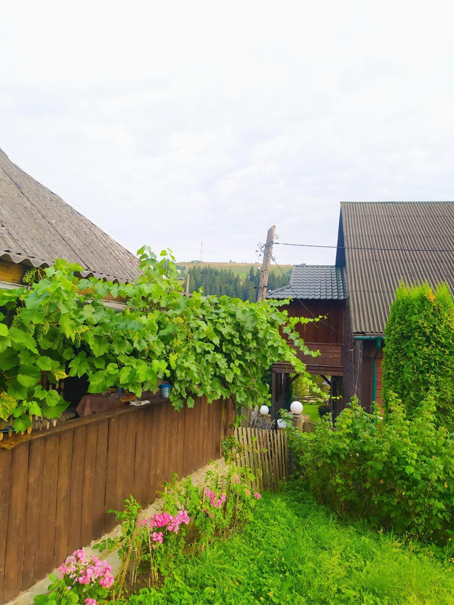 Starovitska Hata - Ethno-Cottage Верховина Экстерьер фото